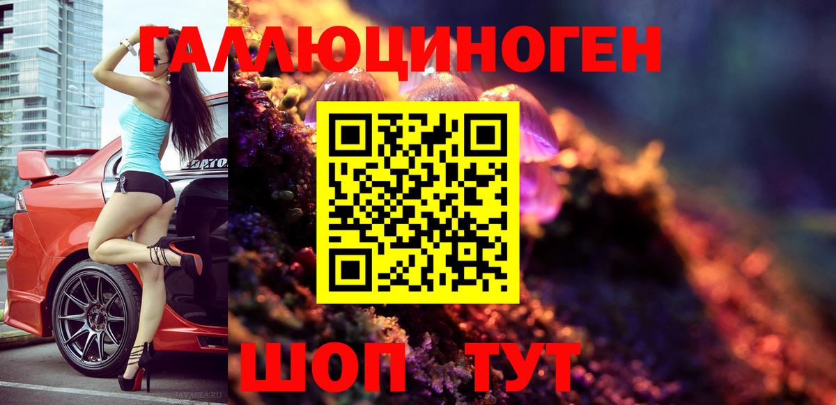 дарнет шоп  Вход с VPN  Гатчина  Галлюциногенные грибы Psilocybine cubensis 
